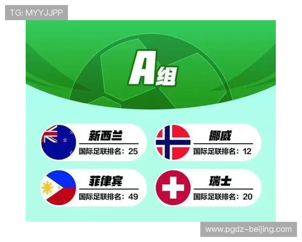 2026年世界杯新西兰对埃及比赛门票价格及购票流程全方位解读与建议